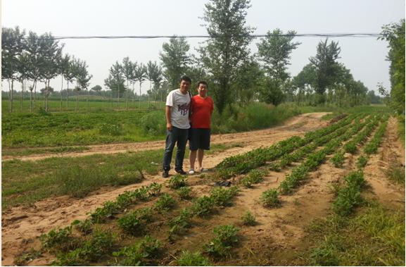 MILE米乐·(中国)集团