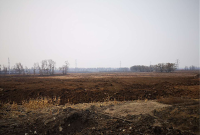 MILE米乐·(中国)集团