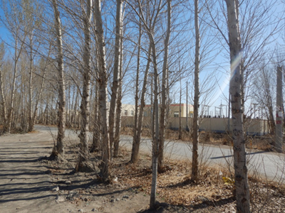 MILE米乐·(中国)集团