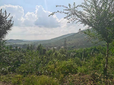 MILE米乐·(中国)集团