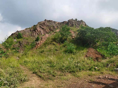 MILE米乐·(中国)集团