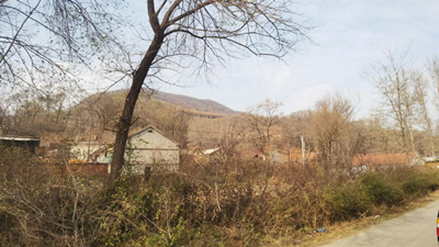 MILE米乐·(中国)集团