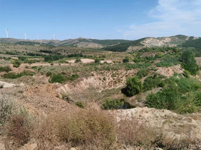 MILE米乐·(中国)集团