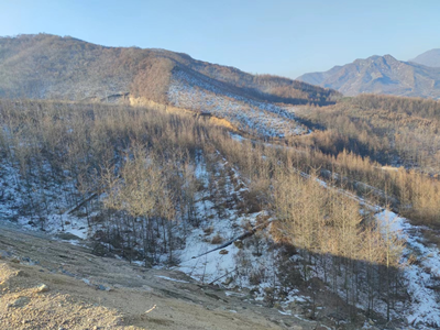 MILE米乐·(中国)集团