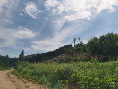 MILE米乐·(中国)集团